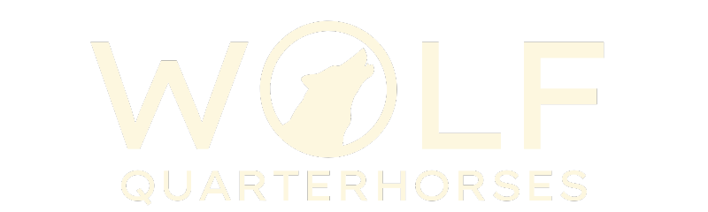 wolf quarterhorses